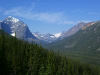 Astoria Valley mit Throne Mountain - Jasper NP
